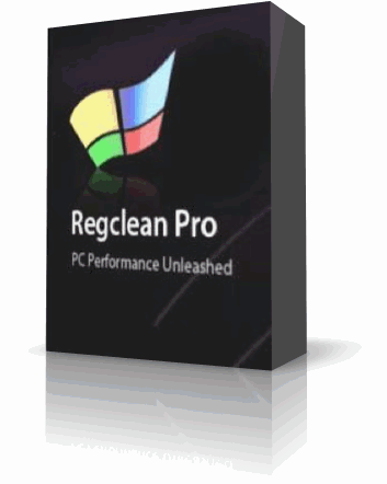 regclean_pro1.gif
